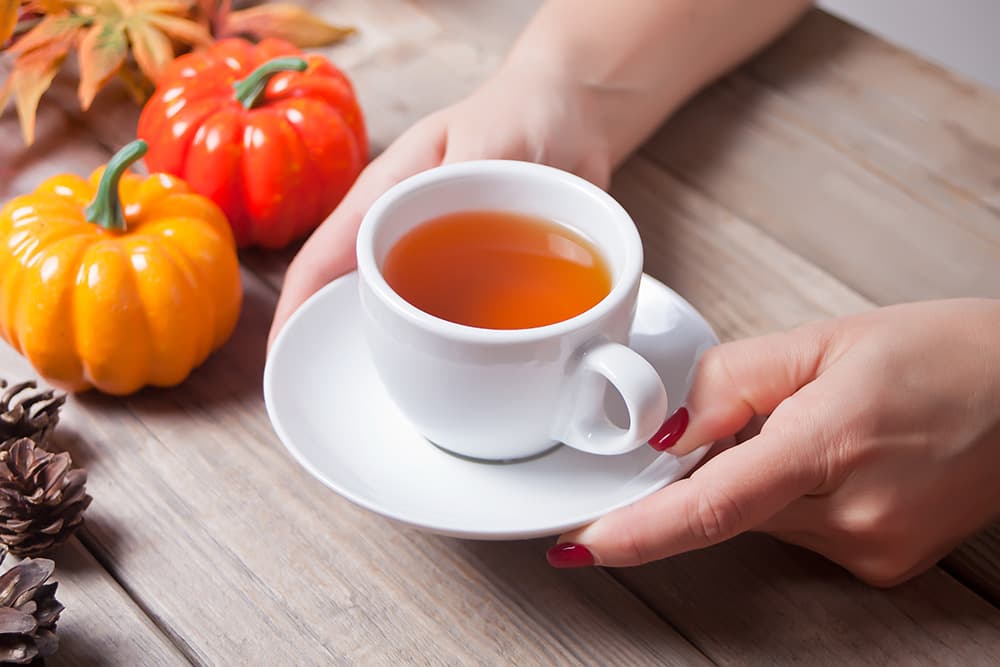 出張料・手数料すべて無料